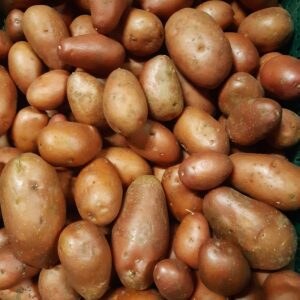 Pomme de terre nouvelle peau rose 500gr