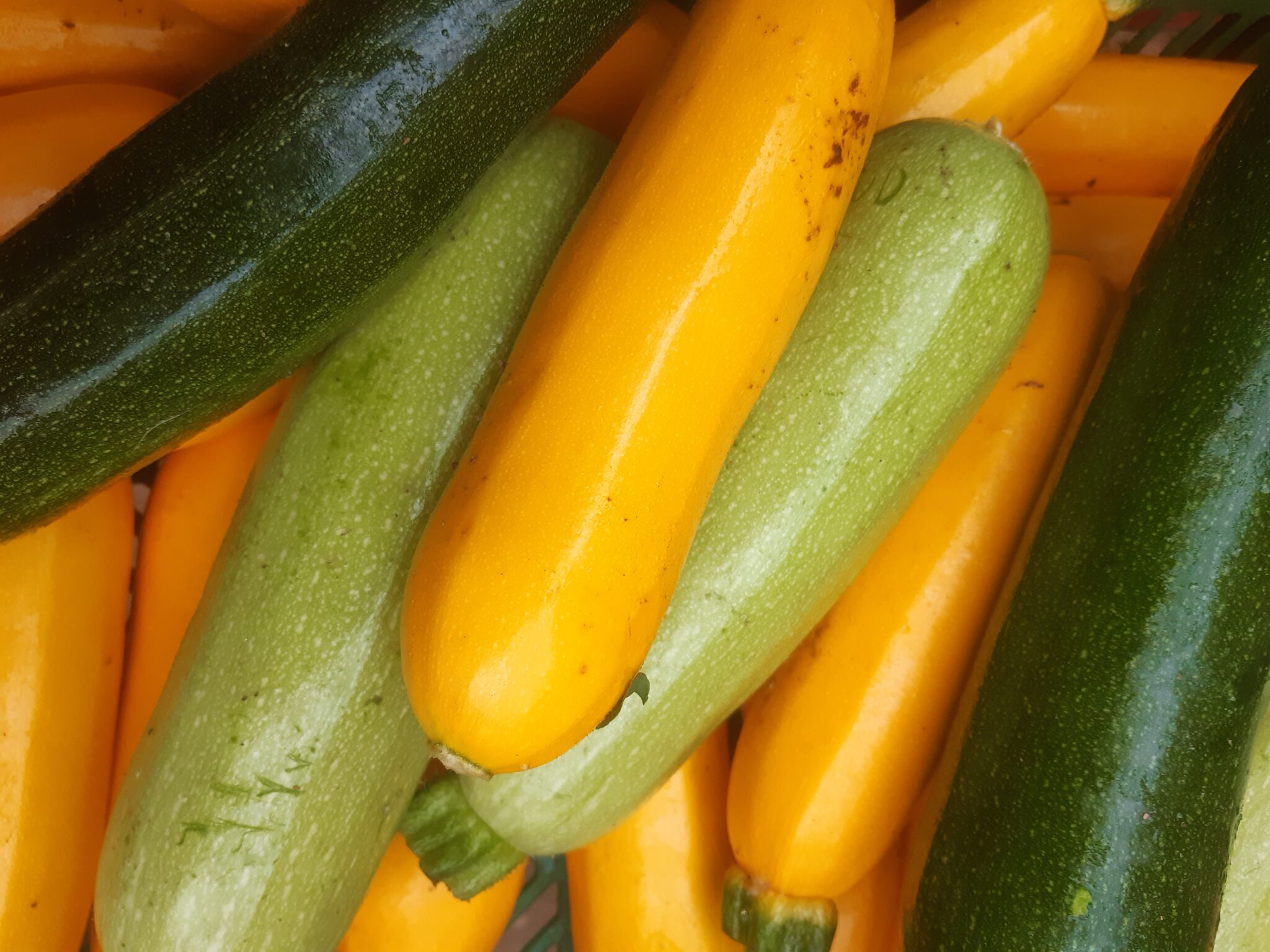 1kg De Courgettes Combien De Courgettes