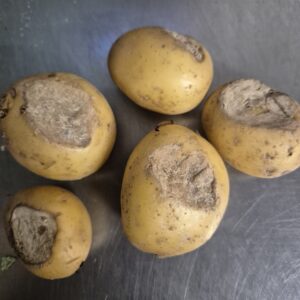 19540